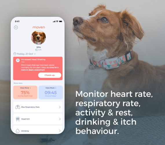 Maven Pet Health Monitor for dogs