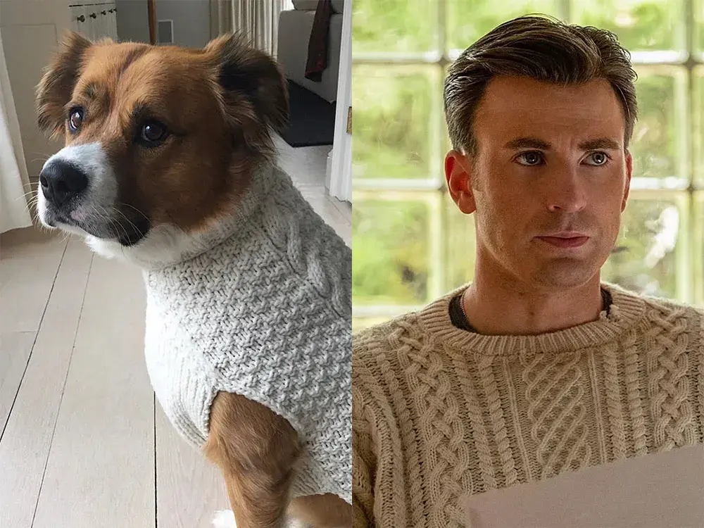 Chris Evans with his dog Dodger