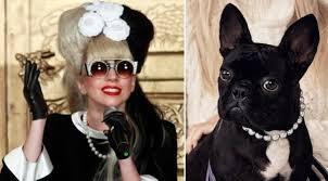 Lady Gaga with her dog Asia