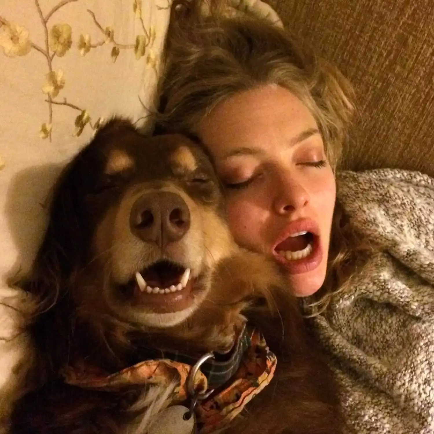 Amanda Seyfried with her dog Finn